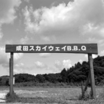CVSベイエリア、一時ストップ高！