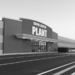 PLANT、連続ストップ高！